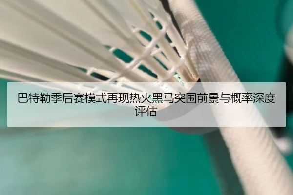 巴特勒季后赛模式再现热火黑马突围前景与概率深度评估