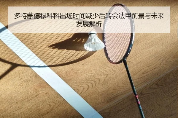 多特蒙德穆科科出场时间减少后转会法甲前景与未来发展解析